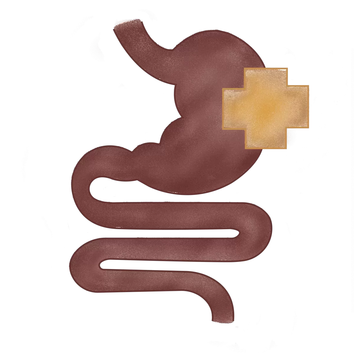 CHI Gut Health Screening