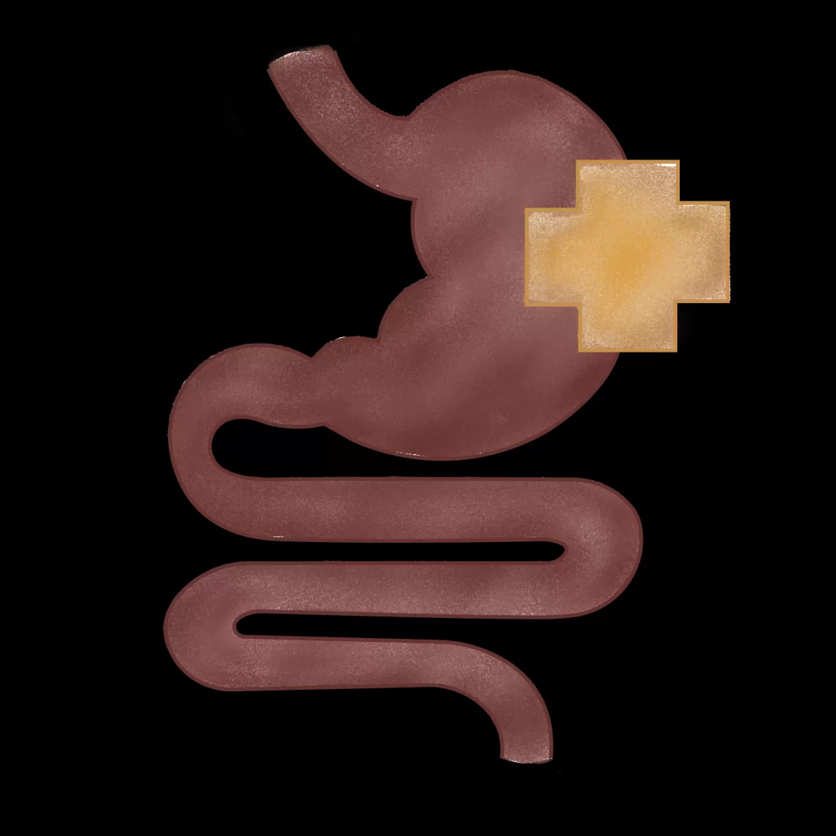CHI Gut Health Screening