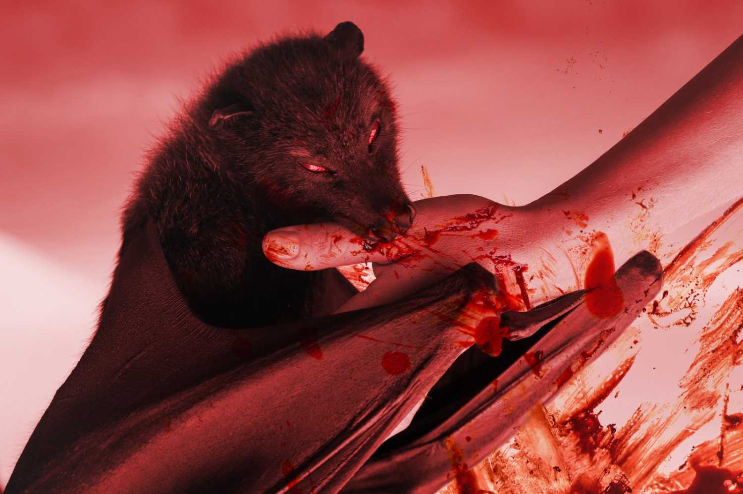 Animal bite wound requiring immediate assessment for rabies exposure - GP clinic Singapore Animal bite wound requiring immediate assessment for rabies exposure - GP clinic Singapore