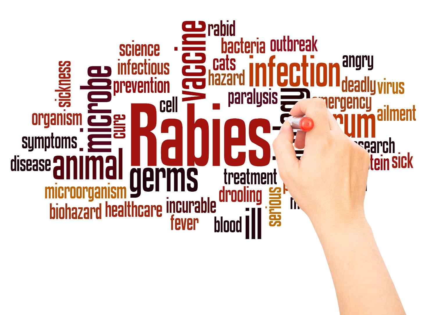 Rabies vaccination prevention guide for Singapore travellers - medical clinic in Orchard